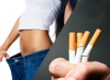 Arrêt du Tabac & Perte de Poids