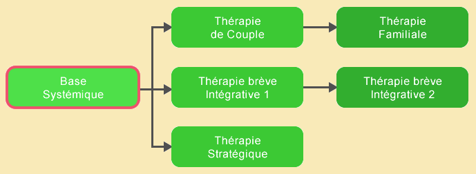 Formation Praticien en Thérapie Brève Systémique