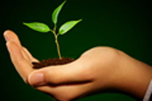 Enseignant en PNL (certifié IN)